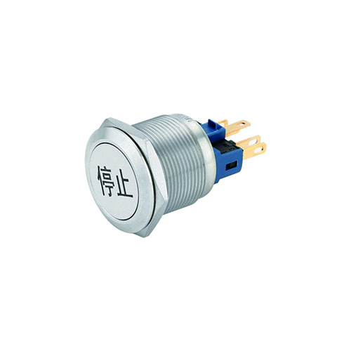 24V momentary action switch